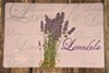 Prestieranie lavanda